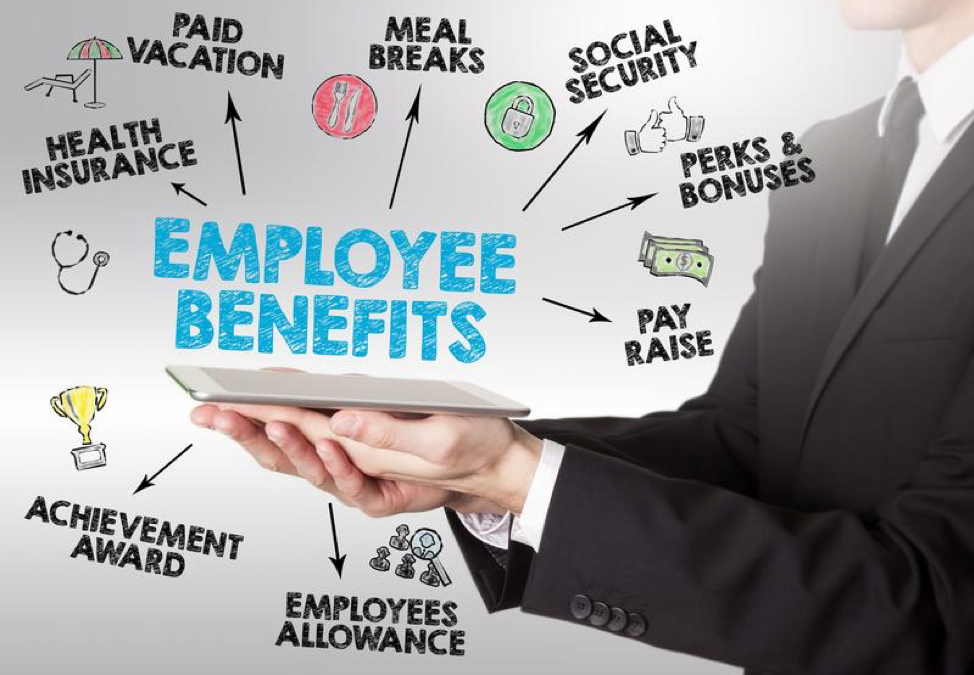 Types Of Employee Benefits And Perks - vrogue.co